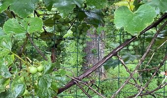 863 Willis Gap Rd, Ararat, VA 24053