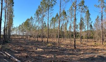 003 Old Camden Rd 3, Bishopville, SC 29010