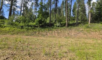 480 Dunn Peak Rd, Avery, ID 83802