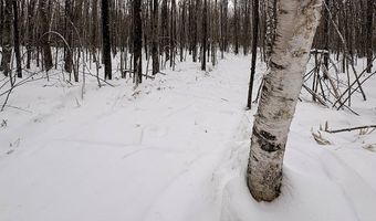 606 Log Lodge Rd, Winter, WI 54896