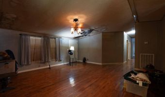 230 Lake Forest Dr, Birchwood, TN 37308