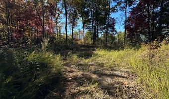24 Cahill Dr Lot 24, Andrews, NC 28901