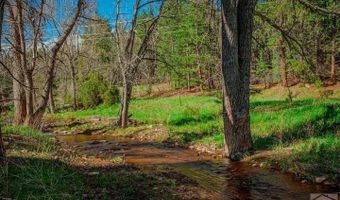 5207 N Creek Rd, Beulah, CO 81023