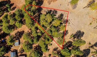 113 Pine Dr, Bayfield, CO 81122