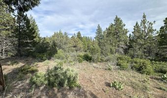 Porpoise Lane Lot 29, Bonanza, OR 97623