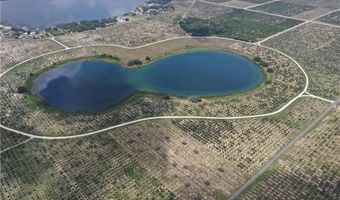 1115 Basket Lake Rd, Avon Park, FL 33825