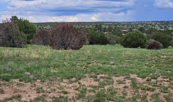 Birdwing Lane, Clay Springs, AZ 85923