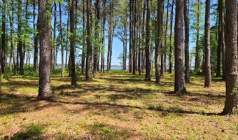 3 3a Gray Goose Dr, Aurora, NC 27806