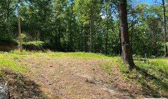 31 Catfish Dr, Big Sandy, TN 38221
