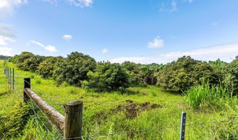 29-613 CHIN CHUCK Rd, Hakalau, HI 96710