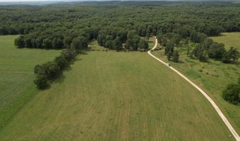 Tract 2 0000 Private Road 1184, Aurora, MO 65605