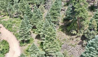 End of El Salto Road, Arroyo Seco, NM 87514