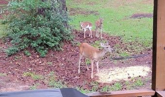 6629 Eubank Dr, Appling, GA 30802