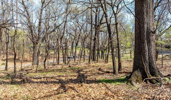 Tbd Blue Grouse Lane, Afton, OK 74331
