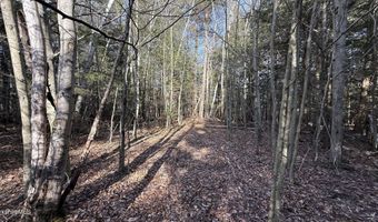 Stony Brook lot 26, Becket, MA 01223