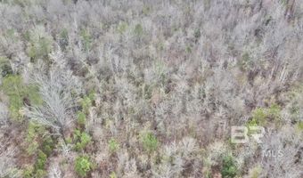 21000 Block Highway 21, Beatrice, AL 36425