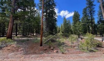 Reno Rd, Alturas, CA 96101