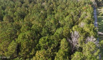 Old Pinola Braxton Road, Braxton, MS 39044