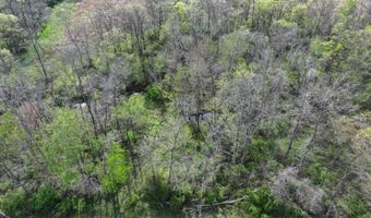 County Road 450 N, Albion, IL 62806