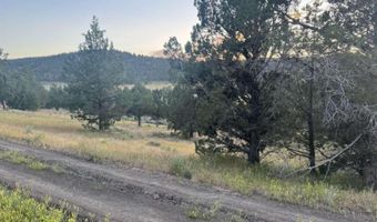 639 Pheasant Dr, Alturas, CA 96101