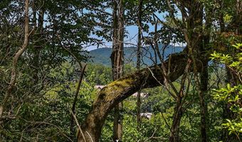 Tbd Big Bear Pen Road, Highlands, NC 28741