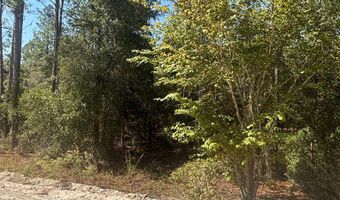 Lot 10 16th Ave, Bell, FL 32619