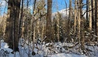Sawyer Notch Road lot 045, Andover, ME 04216