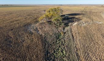 00000 CR 140, Alexander, KS 67513