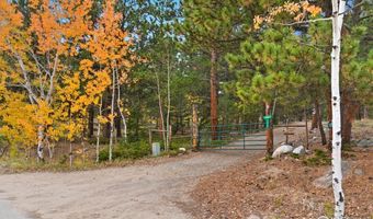 County Road 84 W, Allenspark, CO 80510