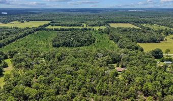 4700 55th Ave, Bell, FL 32619