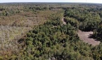 Broxton Bridge Road, Bamberg, SC 29003