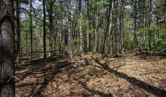 S Badger Lane lot 38, Arkdale, WI 54613