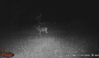 8752 HWY A, Almond, WI 54909