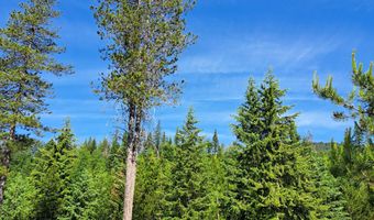 Nka Otter Lane, Bonners Ferry, ID 83805