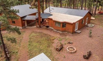 11 Whitetail Rd, Alpine, AZ 85920