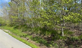 44 Fox Paw Ln, Banner Elk, NC 28604