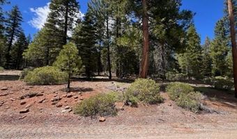 Reno Rd, Alturas, CA 96101