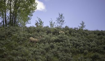 LOT 6 MININGER ROAD, Alpine, WY 83128