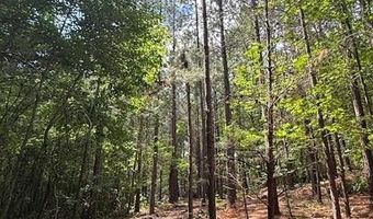 0- Lot 5 Piney Mountain Rd, Appomattox, VA 24522