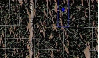 Hermit Dr, Alturas, CA 96101