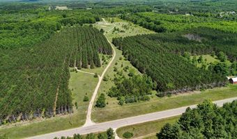 303 Westwood Rd NW, Alden, MI 49612