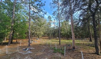 1320 NW 22nd Ct, Bell, FL 32619