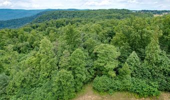 Pheasant Chase lot 3812 81 T, Ararat, VA 24053