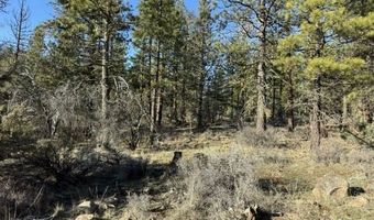 Badger Lane, Bonanza, OR 97623