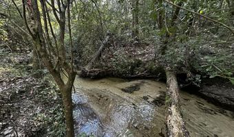 S Carroll Drive, Baker, FL 32531