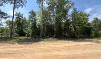 Holly Springs Avenue, Alford, FL 32420