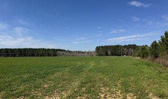 010 Bar M Farm, Andalusia, AL 36421
