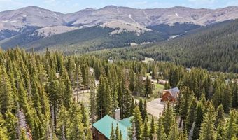 229 Lee Ln, Breckenridge, CO 80424