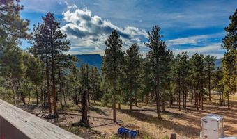 50 Road P78, Bailey, CO 80421