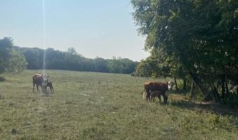 1307 Route Af, Ava, MO 65608